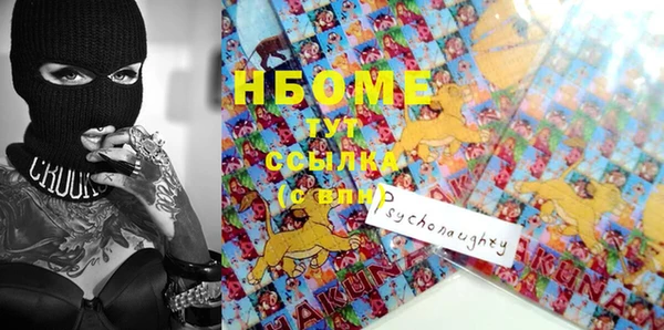 индика Абаза