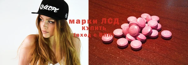 индика Абаза