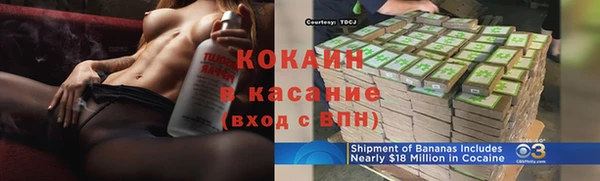 индика Абаза