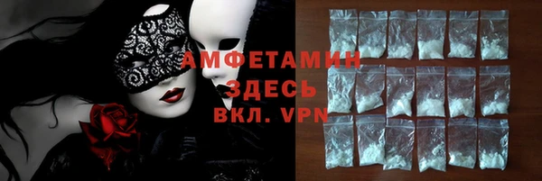индика Абаза