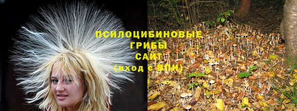 трава Абинск