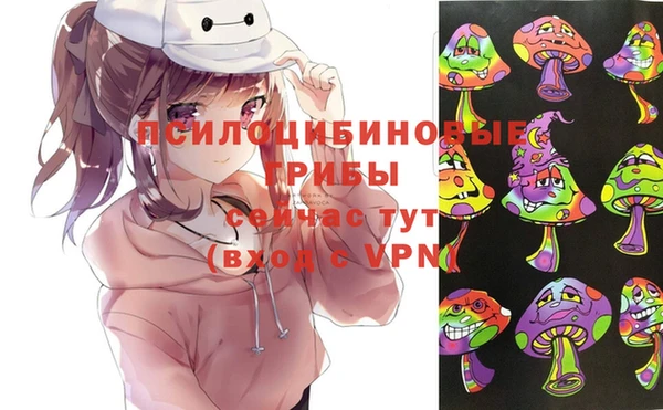 индика Абаза