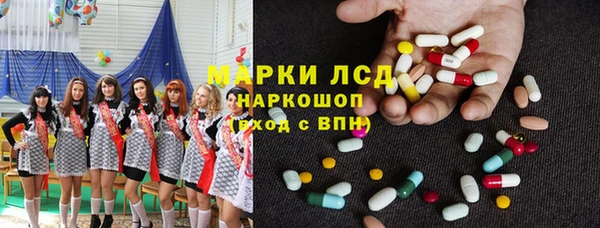 индика Абаза