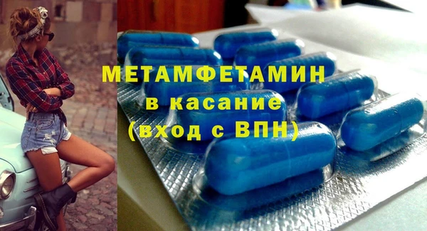 индика Абаза