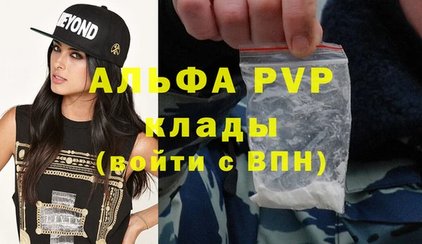 индика Абаза
