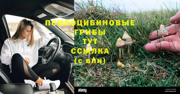трава Абинск