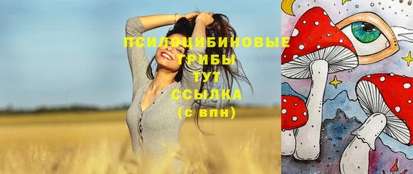 индика Абаза