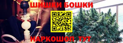 МДПВ Можга