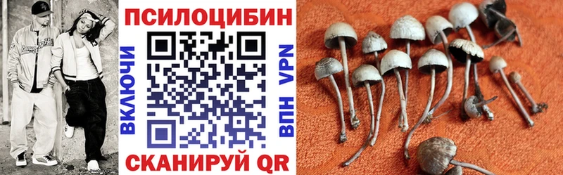 Галлюциногенные грибы Cubensis  Серпухов 